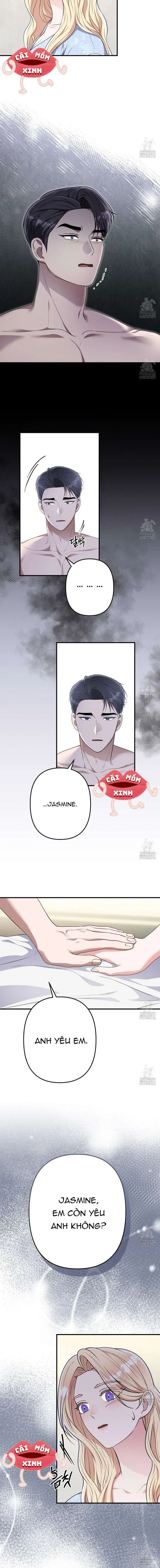 Xin Hãy Để Ý Tới Jasmine 