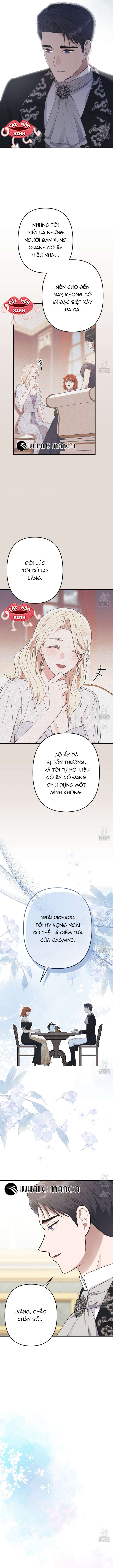 Xin Hãy Để Ý Tới Jasmine 