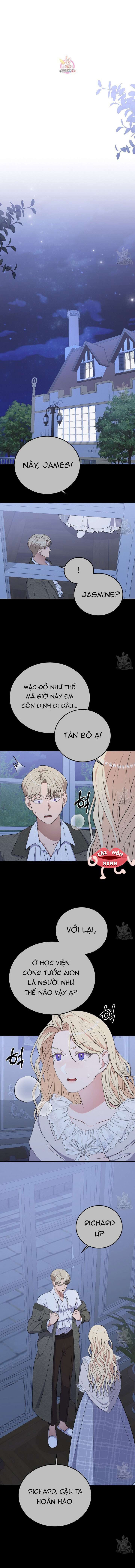 Xin Hãy Để Ý Tới Jasmine 