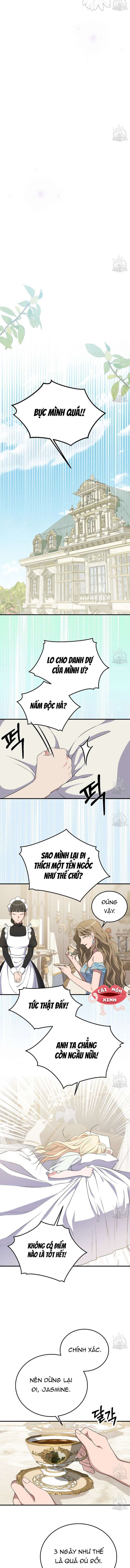 Xin Hãy Để Ý Tới Jasmine 