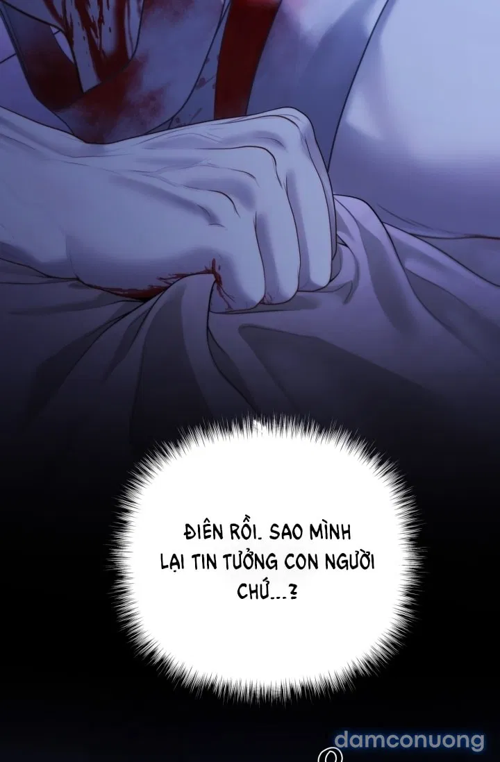 Phương pháp thuần hóa chó sói 