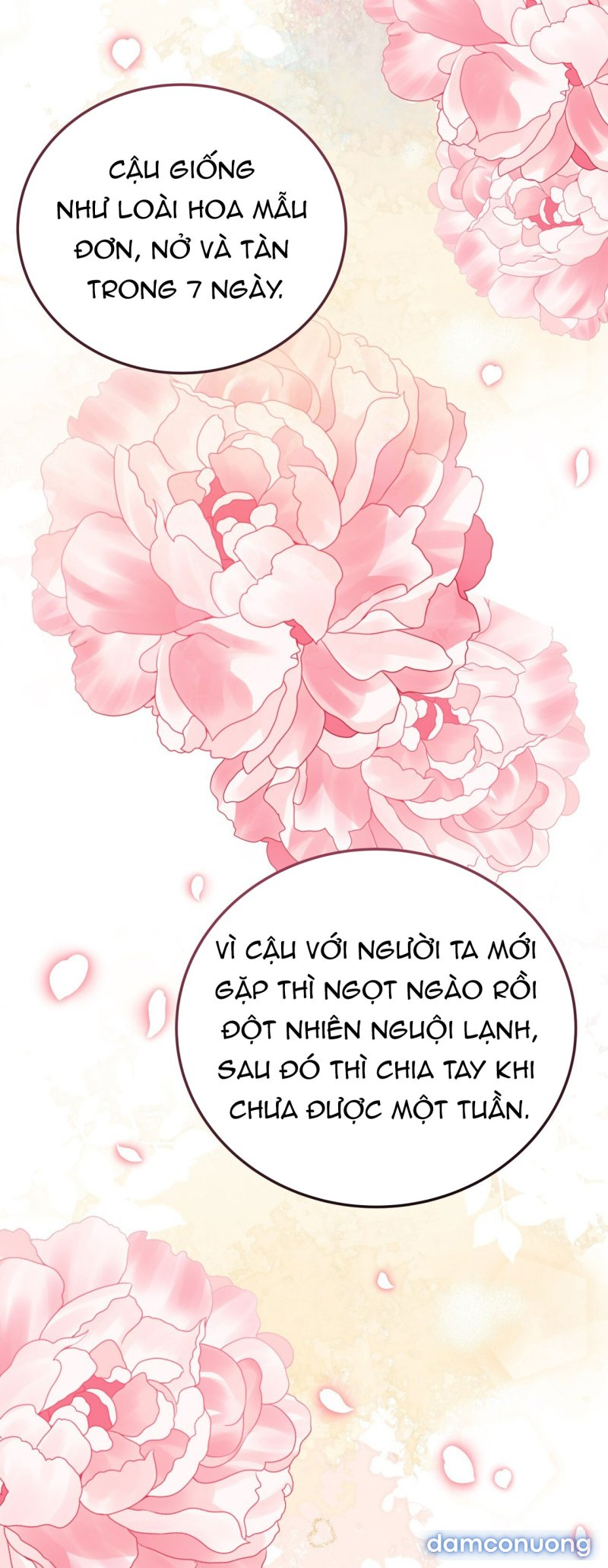 [18+] JASMIN XIN HÃY ĐỂ Ý ĐẾN TÔI 