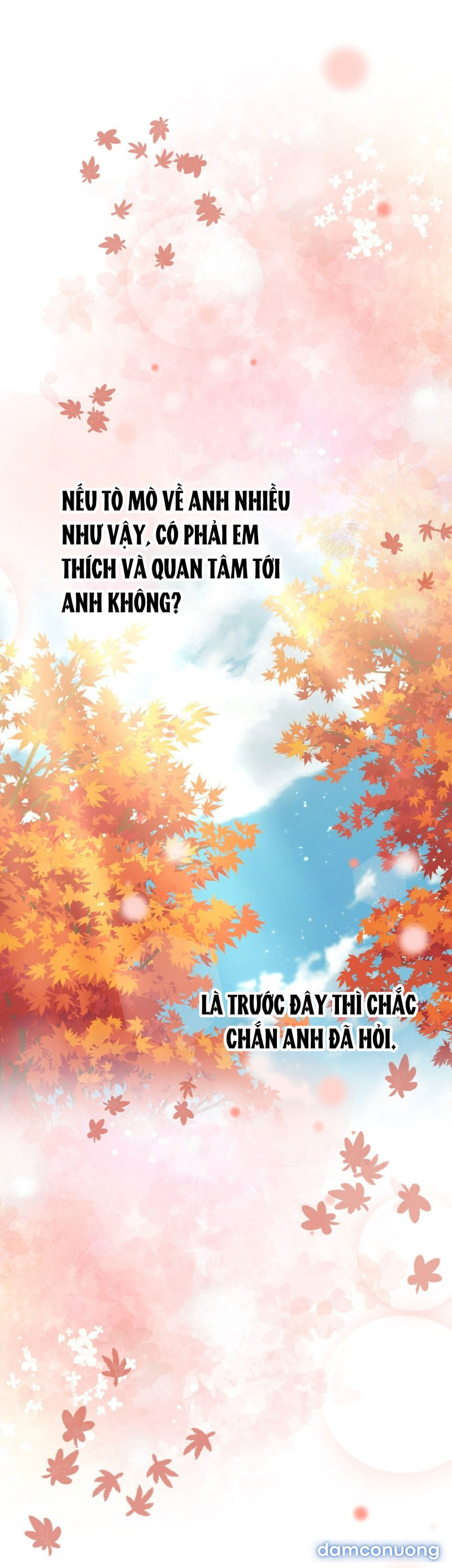 [18+] JASMIN XIN HÃY ĐỂ Ý ĐẾN TÔI 
