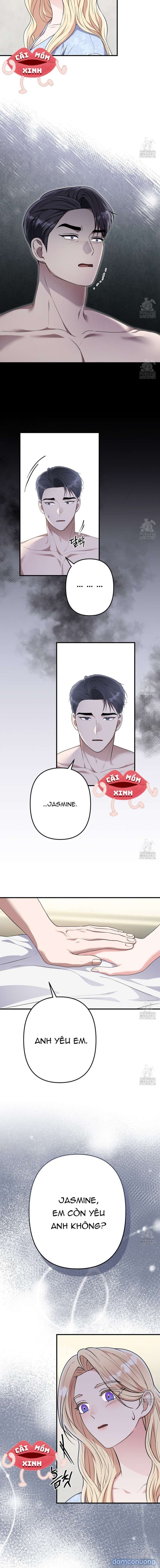 [18+] JASMIN XIN HÃY ĐỂ Ý ĐẾN TÔI 