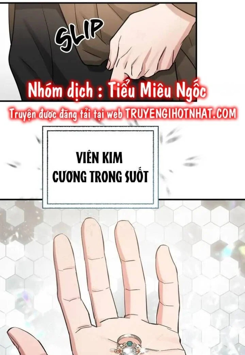 Người Thừa Kế 