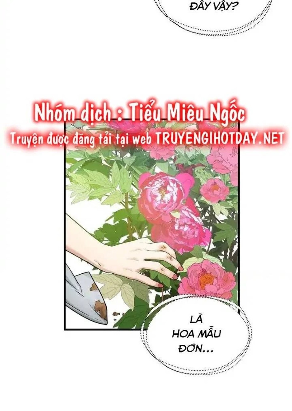 Người Thừa Kế 