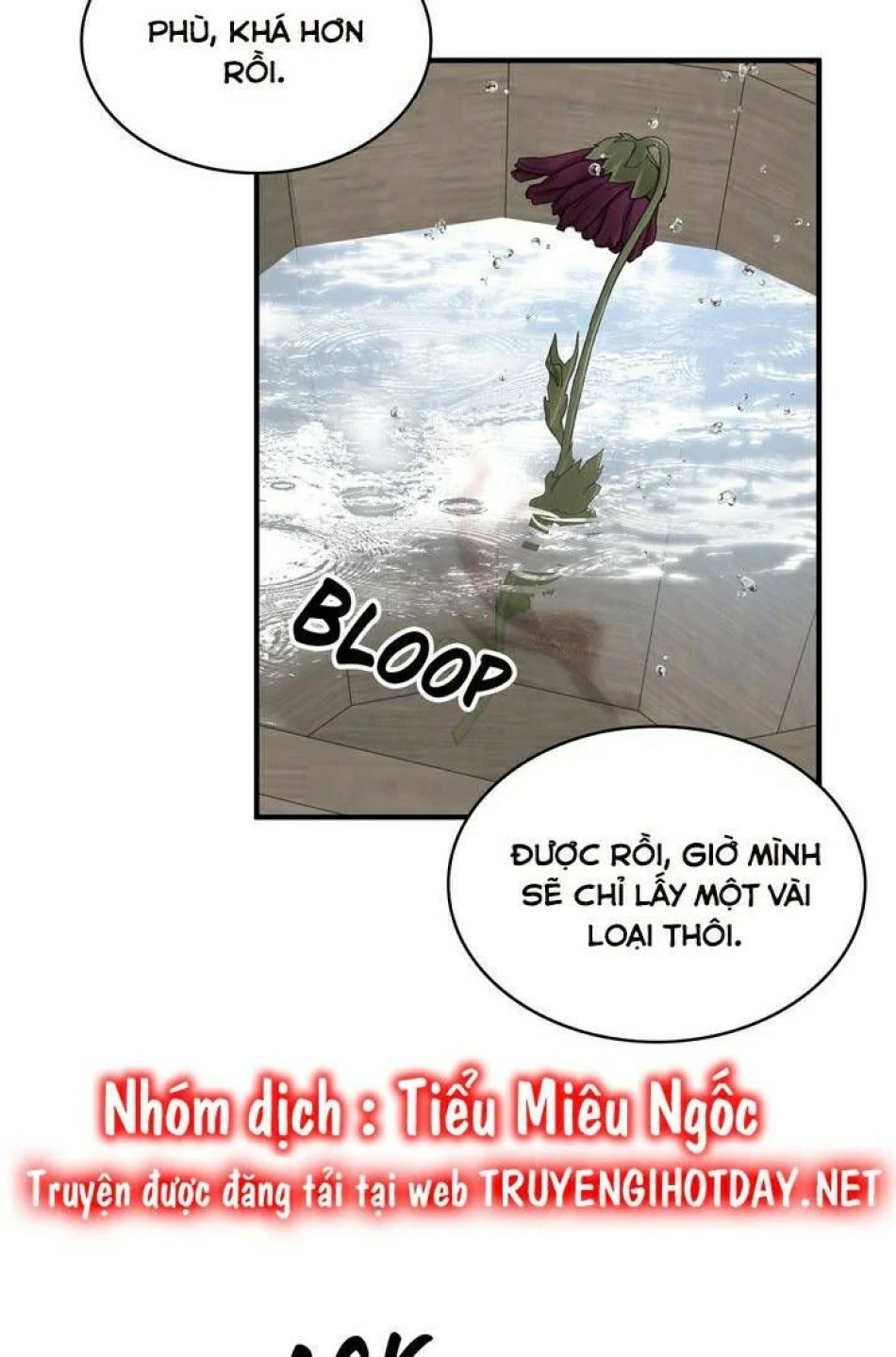 Người Thừa Kế 