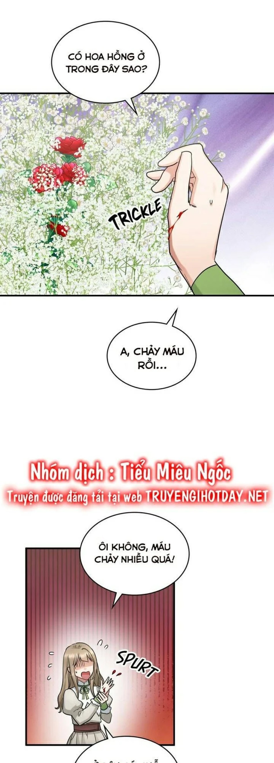 Người Thừa Kế 