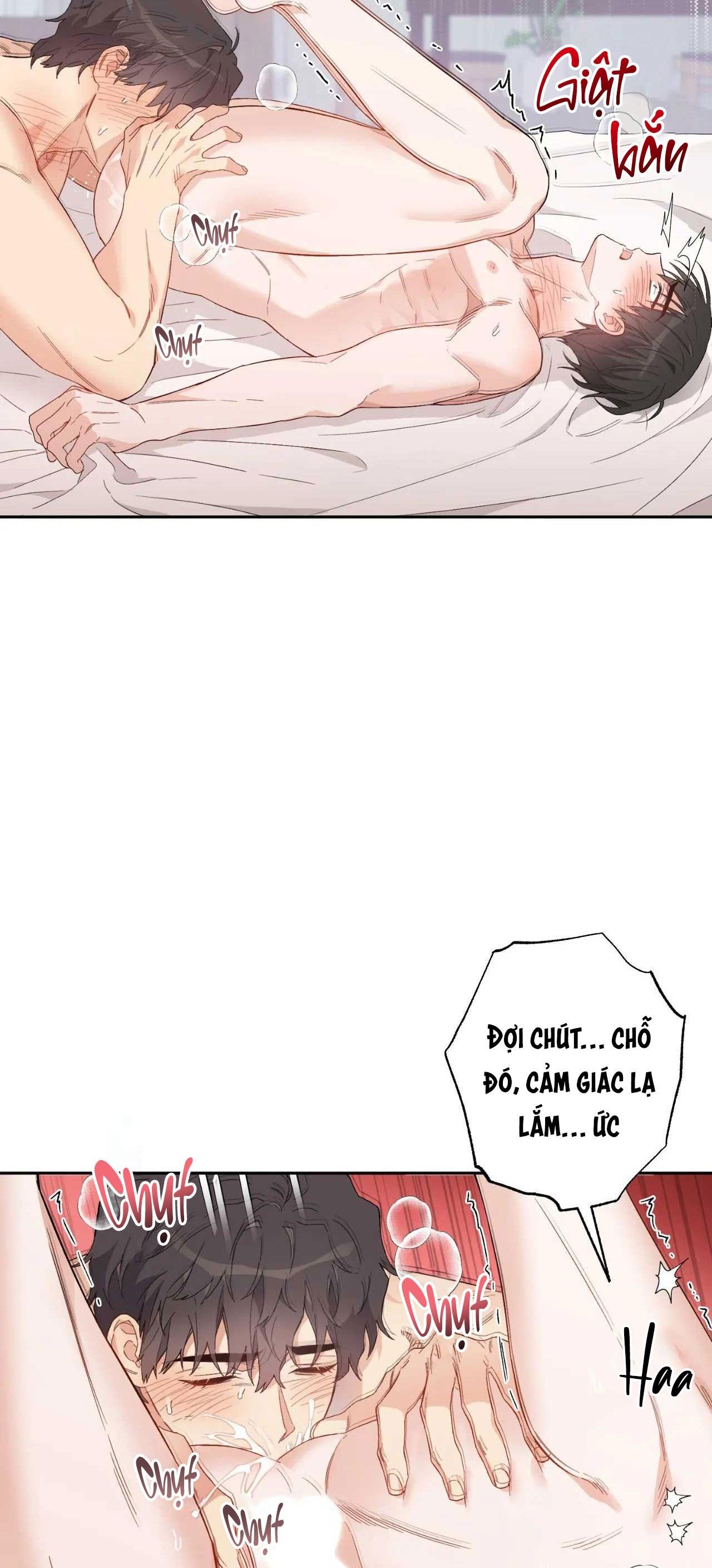 [18+ BL] VẬN MỆNH CỦA CẬU LÀ GÌ? 
