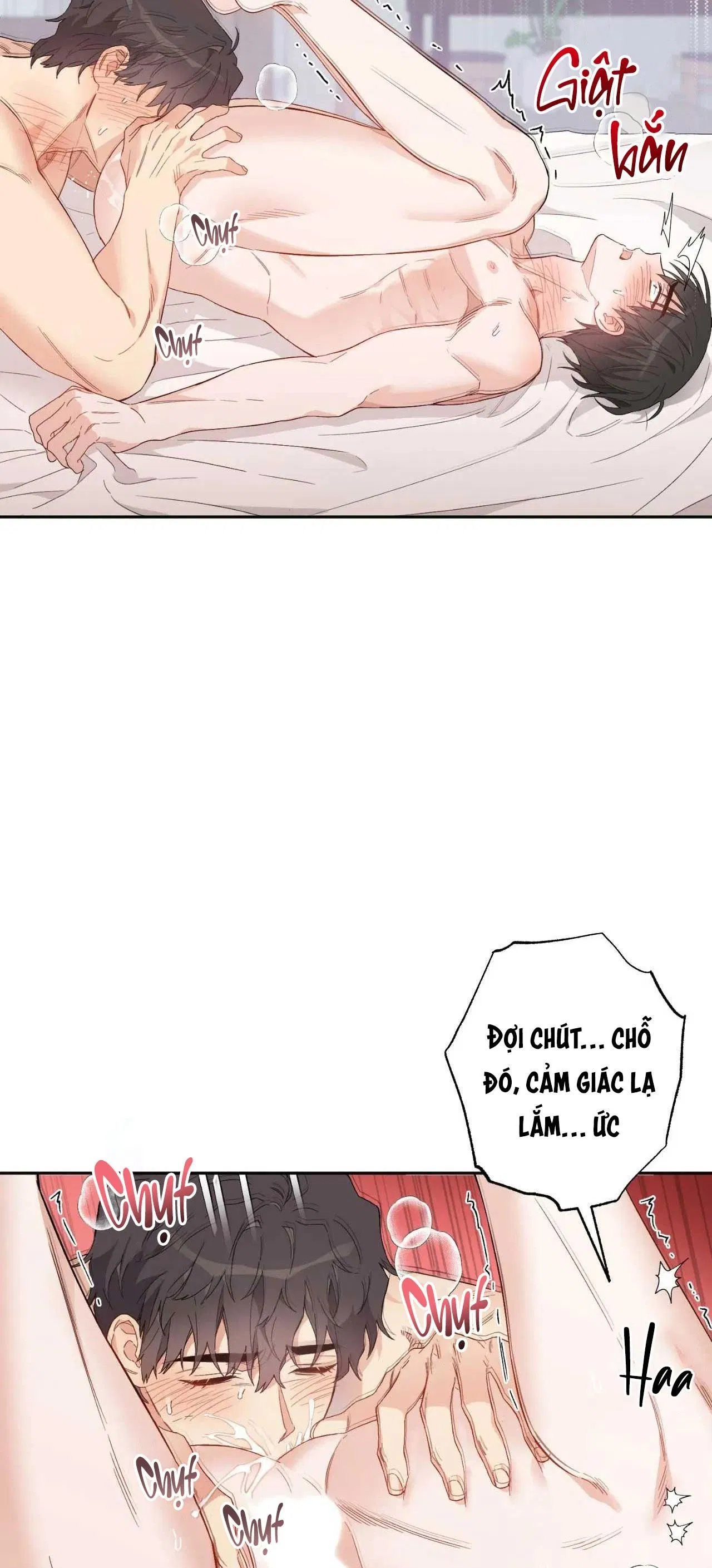 [18+ BL] VẬN MỆNH CỦA CẬU LÀ GÌ? 