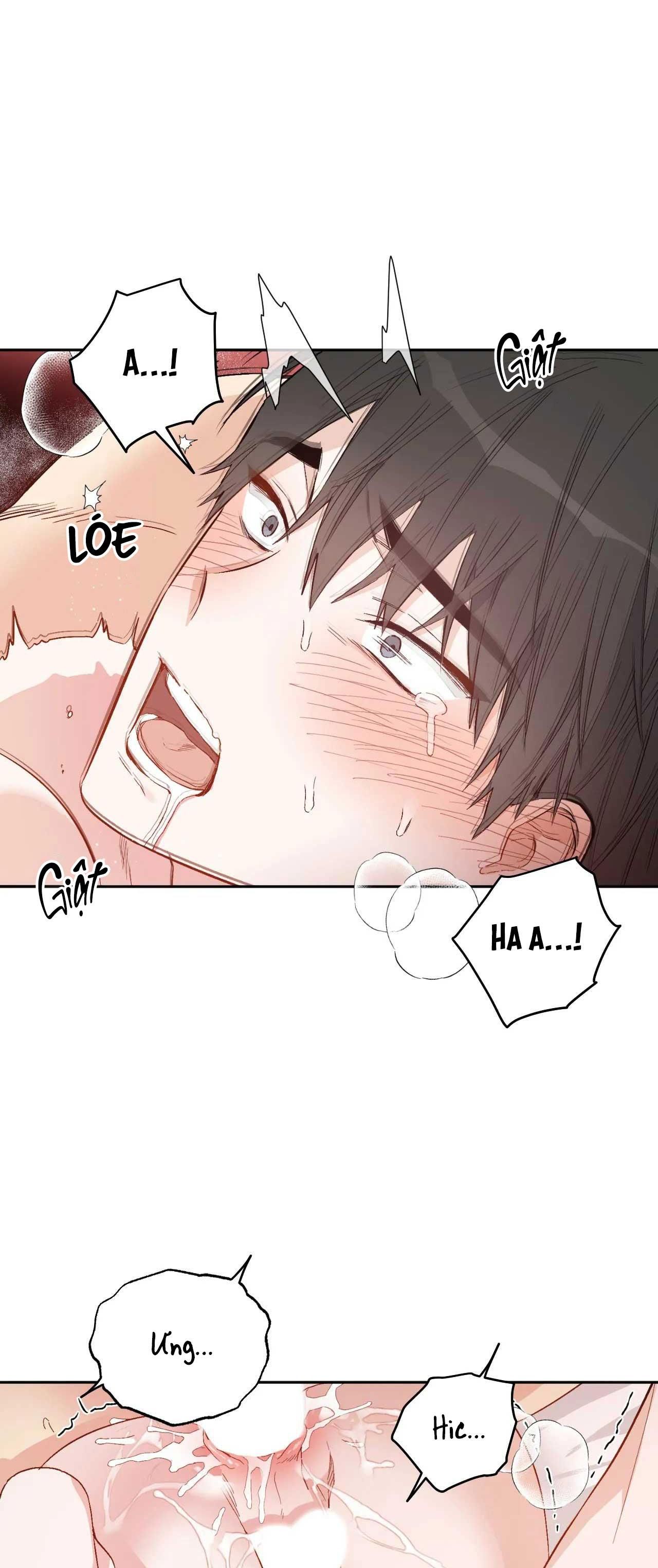 [18+ BL] VẬN MỆNH CỦA CẬU LÀ GÌ? 