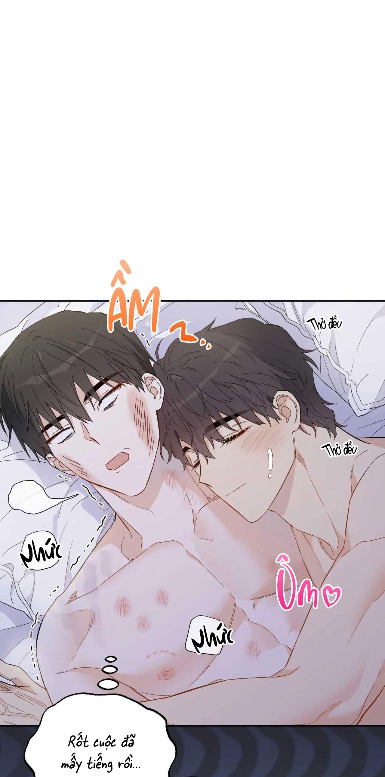 [18+ BL] VẬN MỆNH CỦA CẬU LÀ GÌ? 
