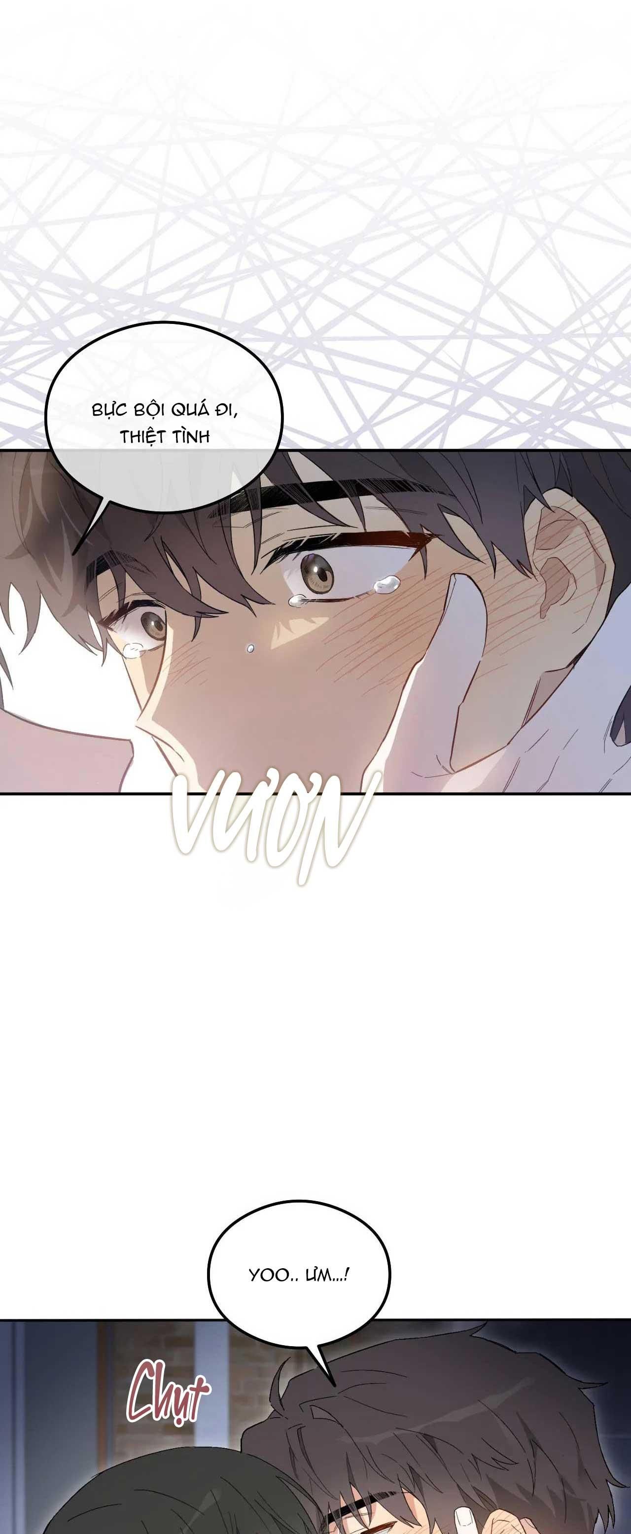 [18+ BL] VẬN MỆNH CỦA CẬU LÀ GÌ? 