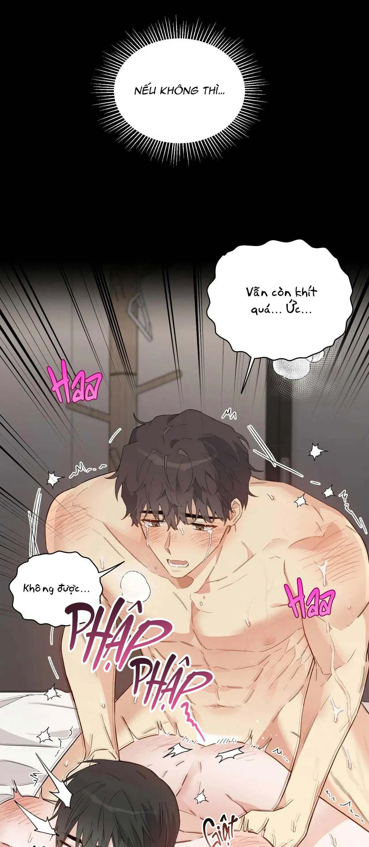 [18+ BL] VẬN MỆNH CỦA CẬU LÀ GÌ? 