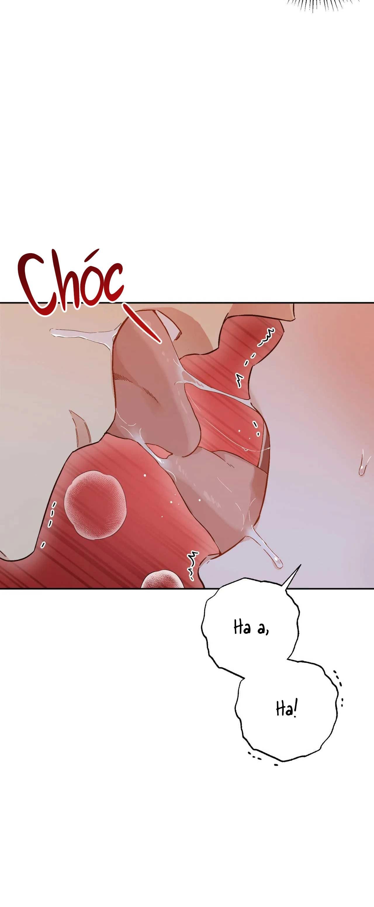 [18+ BL] VẬN MỆNH CỦA CẬU LÀ GÌ? 