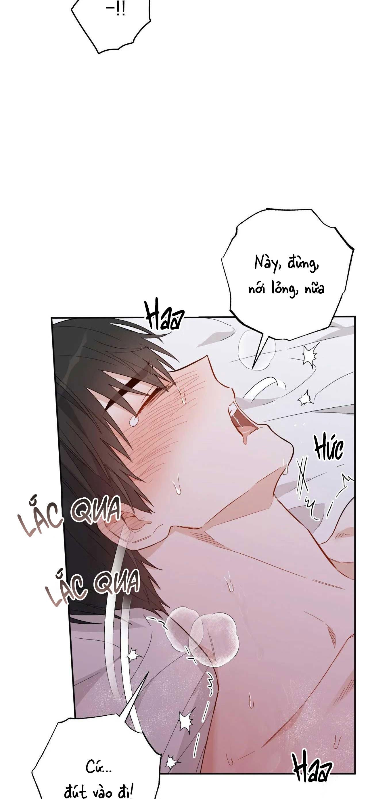 [18+ BL] VẬN MỆNH CỦA CẬU LÀ GÌ? 