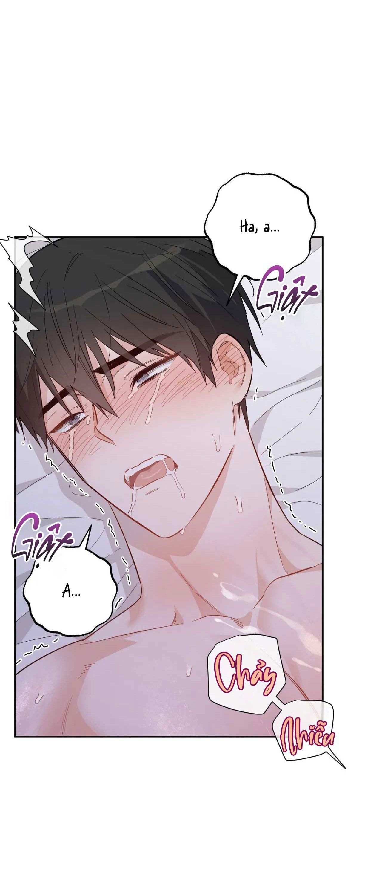 [18+ BL] VẬN MỆNH CỦA CẬU LÀ GÌ? 