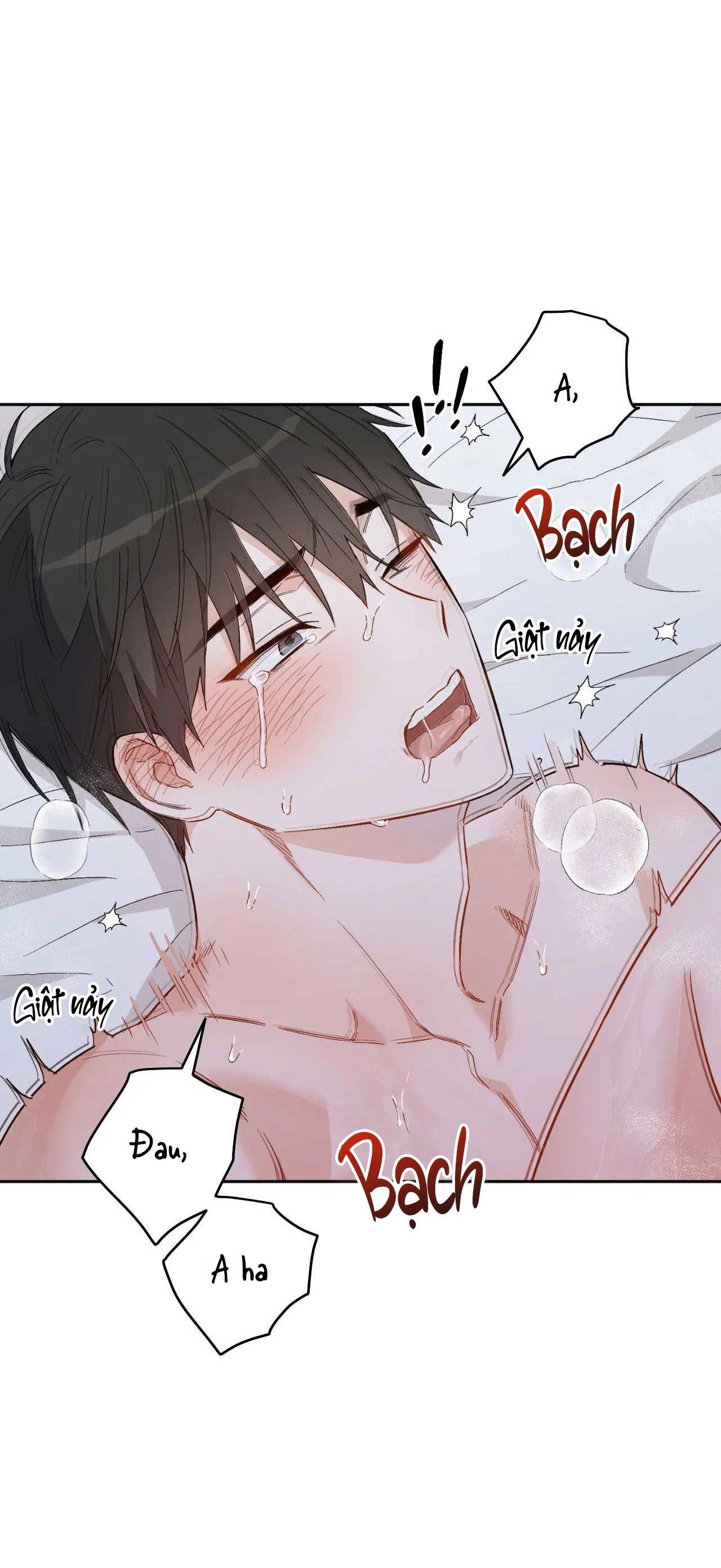 [18+ BL] VẬN MỆNH CỦA CẬU LÀ GÌ? 