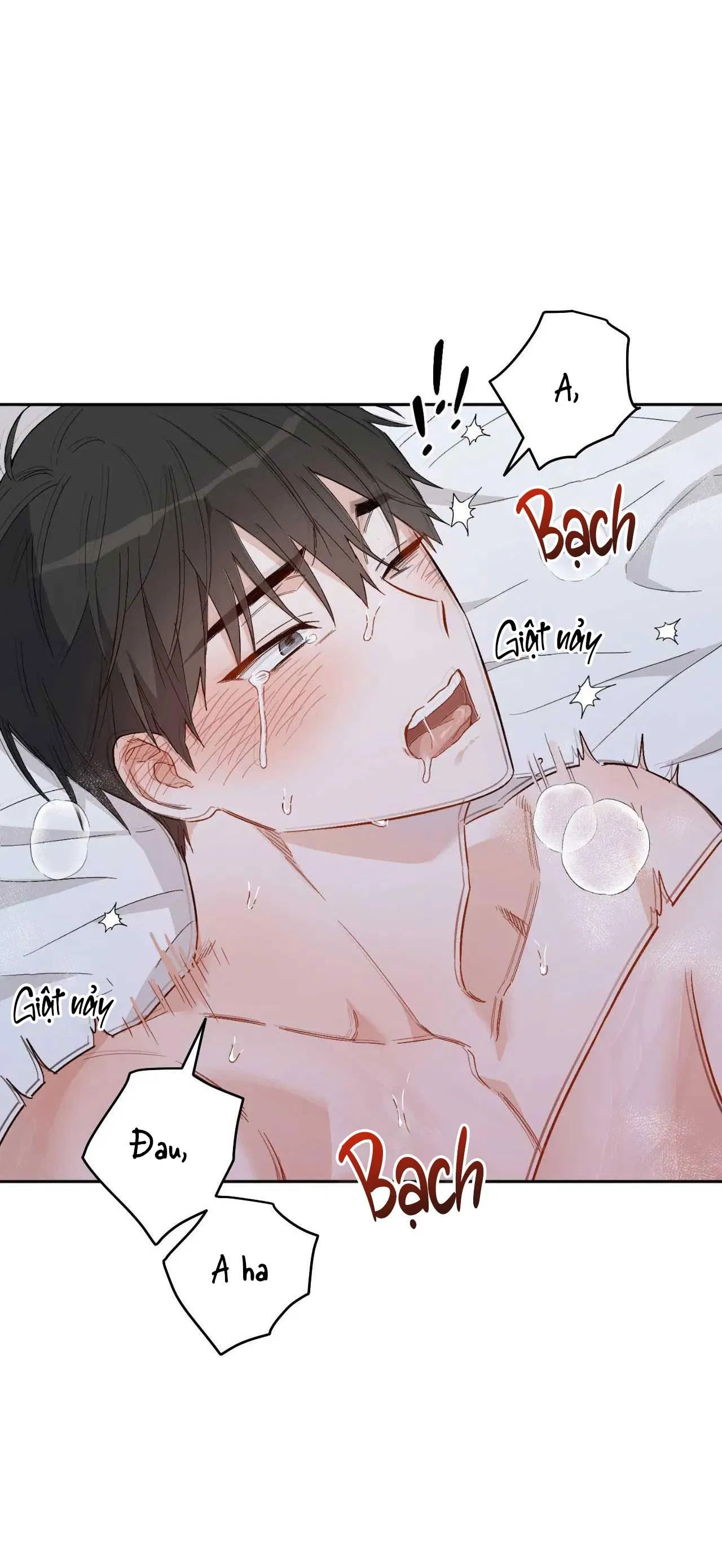 [18+ BL] VẬN MỆNH CỦA CẬU LÀ GÌ? 