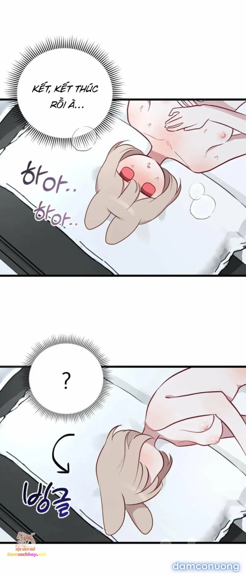 [ 18+] Rắn và thỏ có thể kết hôn không? 