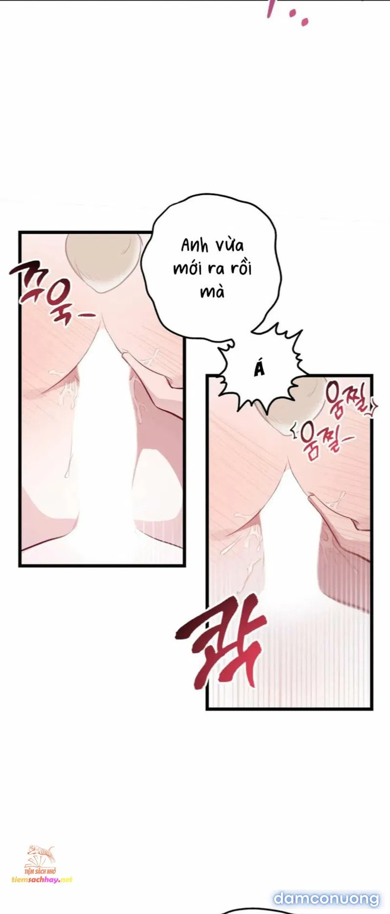 [ 18+] Rắn và thỏ có thể kết hôn không? 