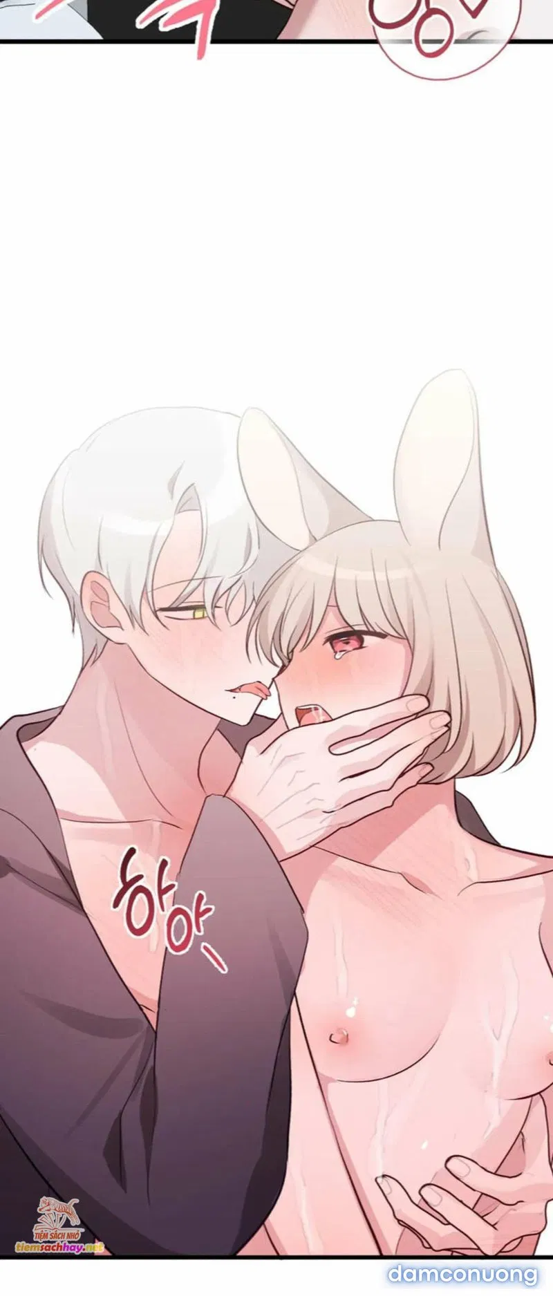 [ 18+] Rắn và thỏ có thể kết hôn không? 