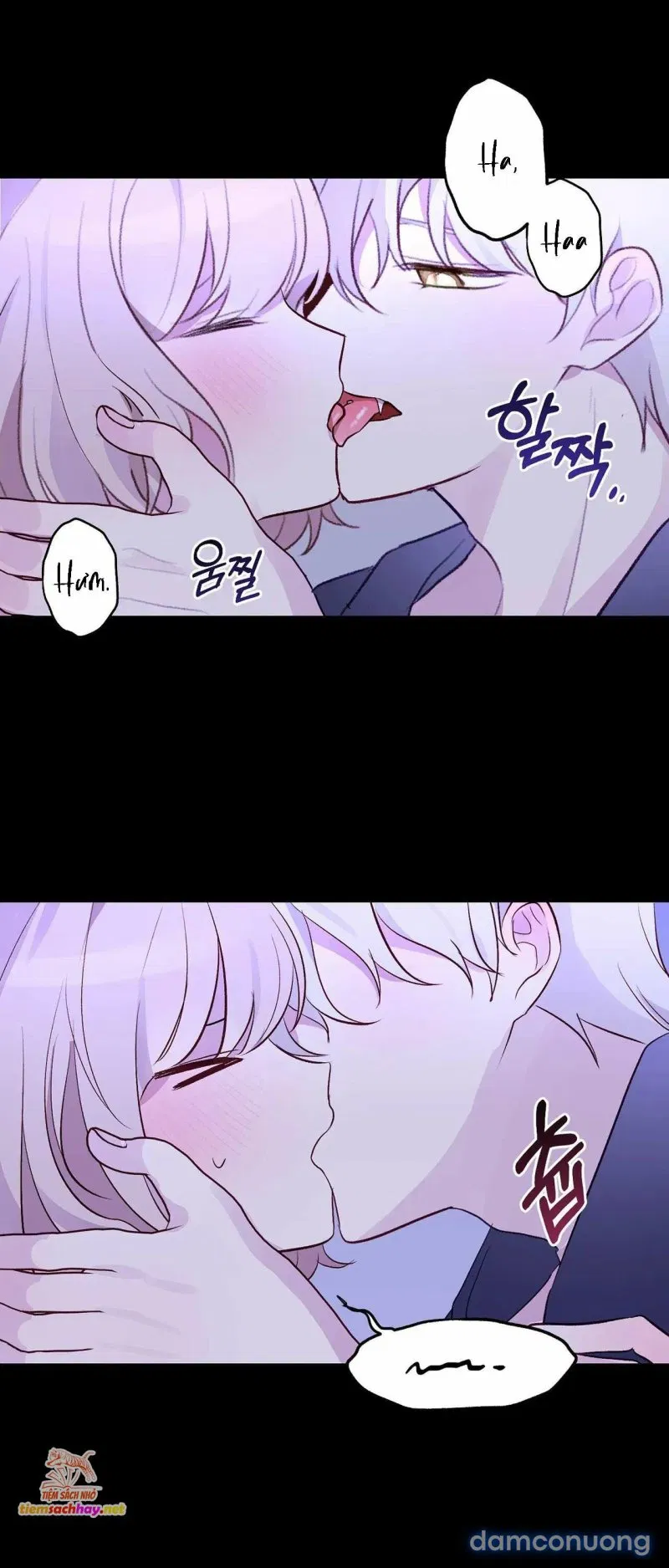 [ 18+] Rắn và thỏ có thể kết hôn không? 