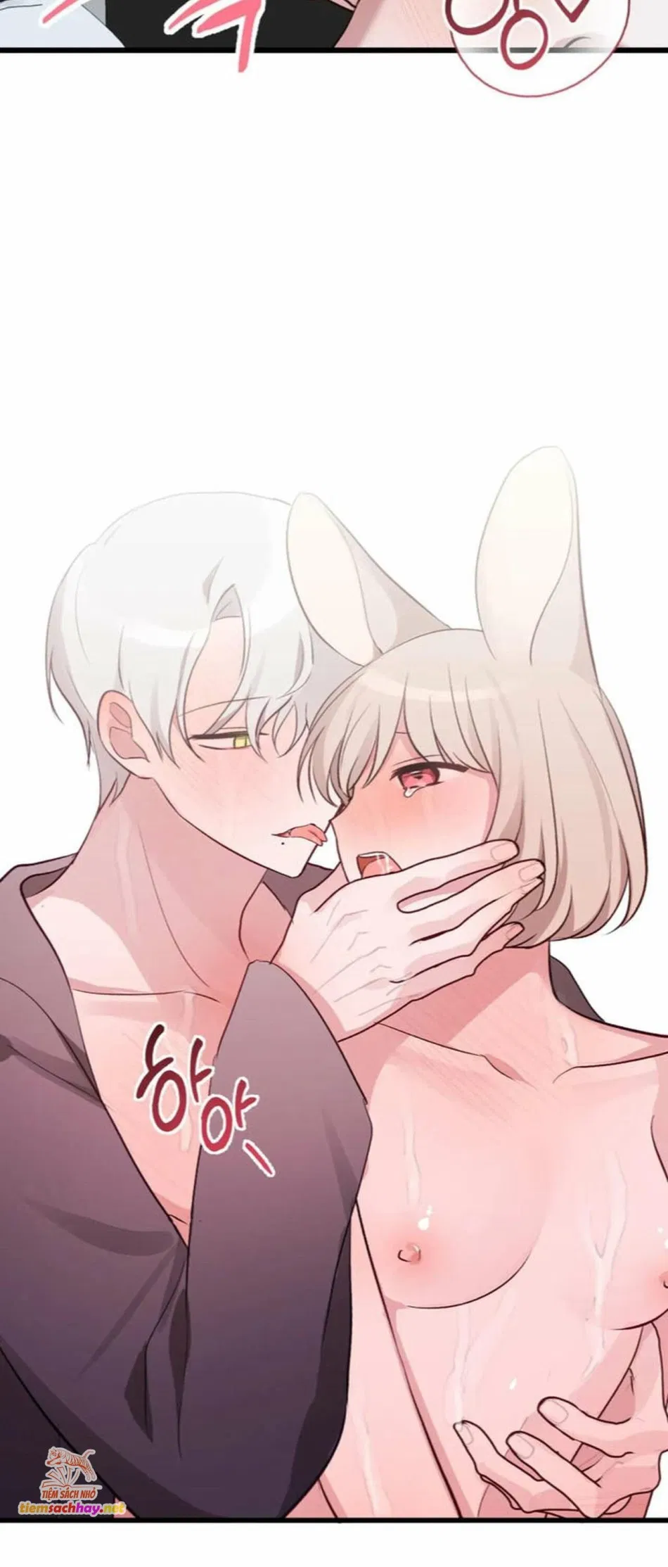 [ 18+] Rắn và thỏ có thể kết hôn không? 