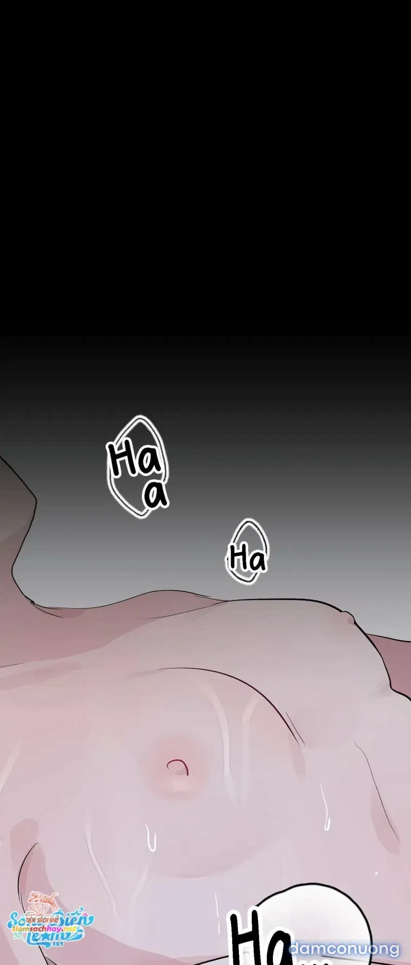 [ 18+] Rắn và thỏ có thể kết hôn không? 