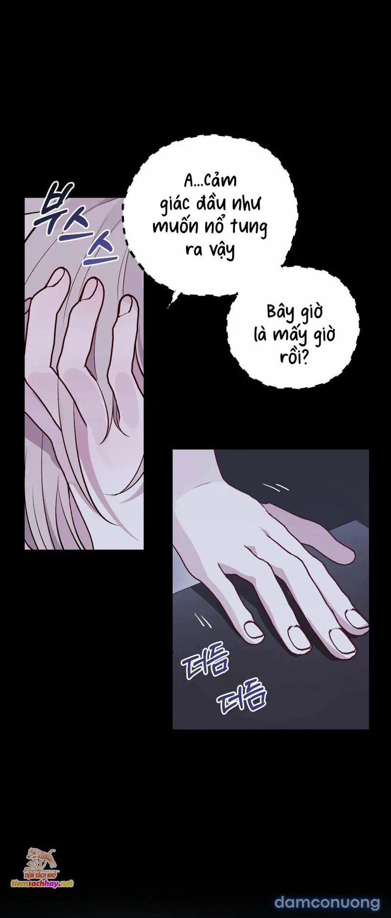 [ 18+] Rắn và thỏ có thể kết hôn không? 