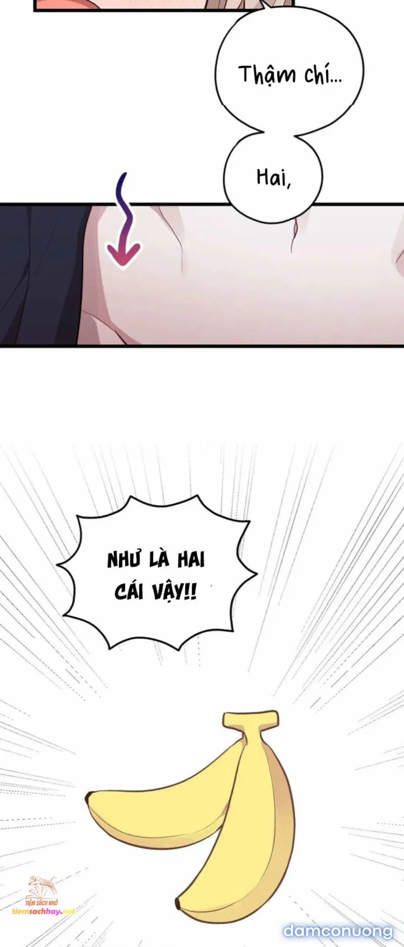 [ 18+] Rắn và thỏ có thể kết hôn không? 