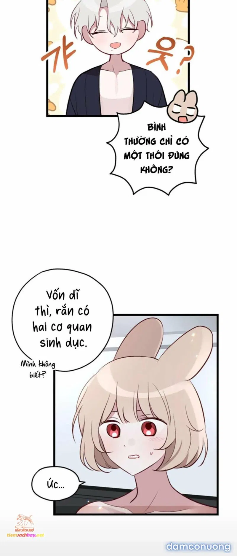 [ 18+] Rắn và thỏ có thể kết hôn không? 
