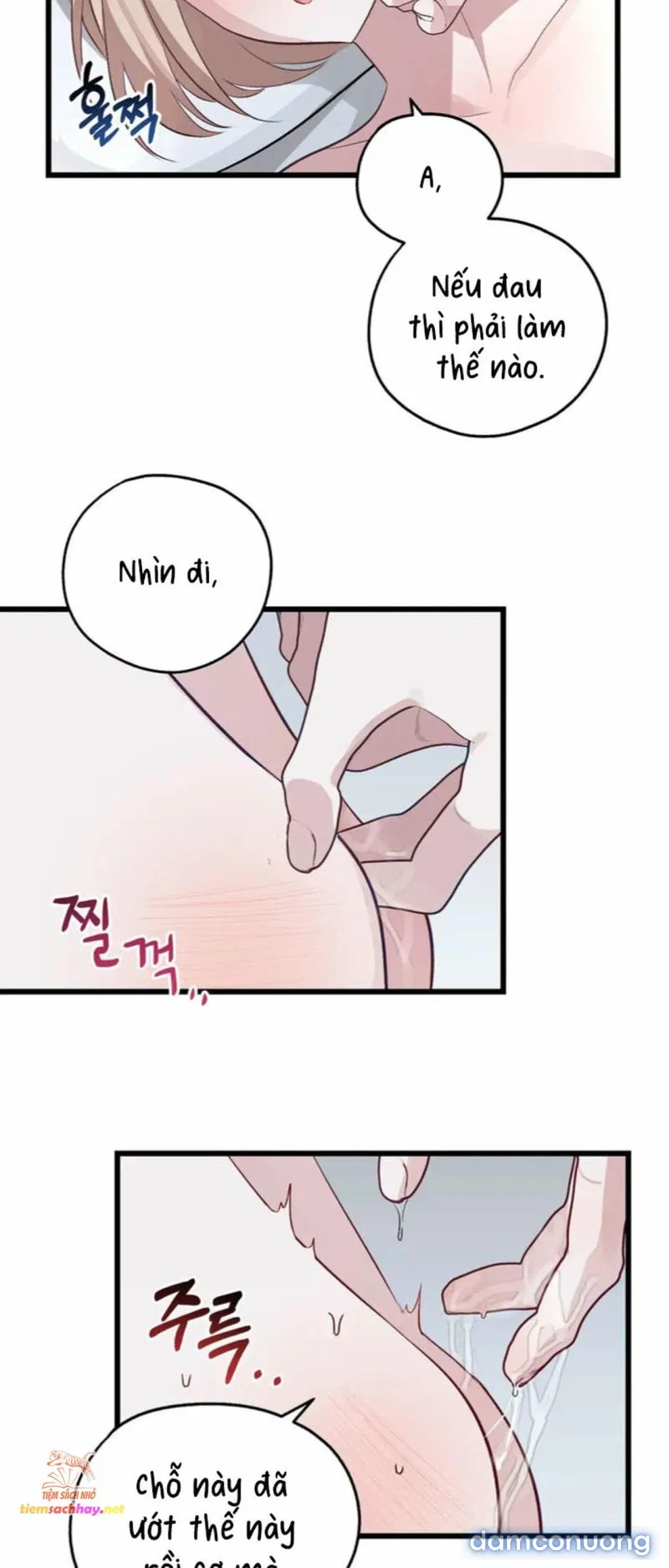[ 18+] Rắn và thỏ có thể kết hôn không? 