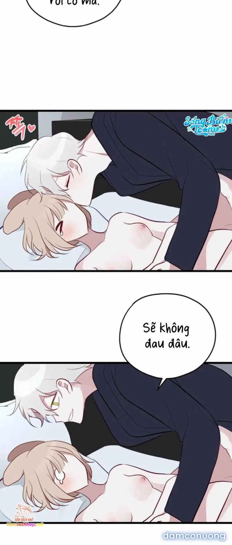 [ 18+] Rắn và thỏ có thể kết hôn không? 