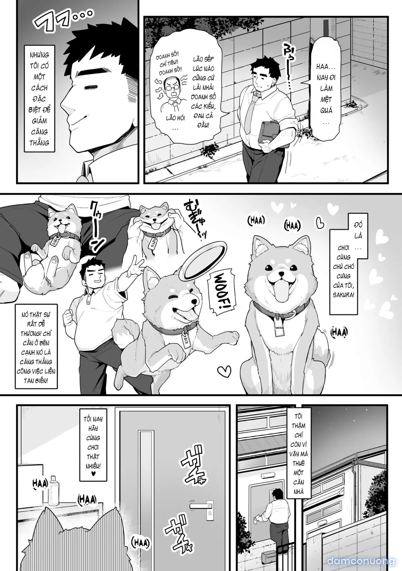 Chơi Cùng Sakura! 