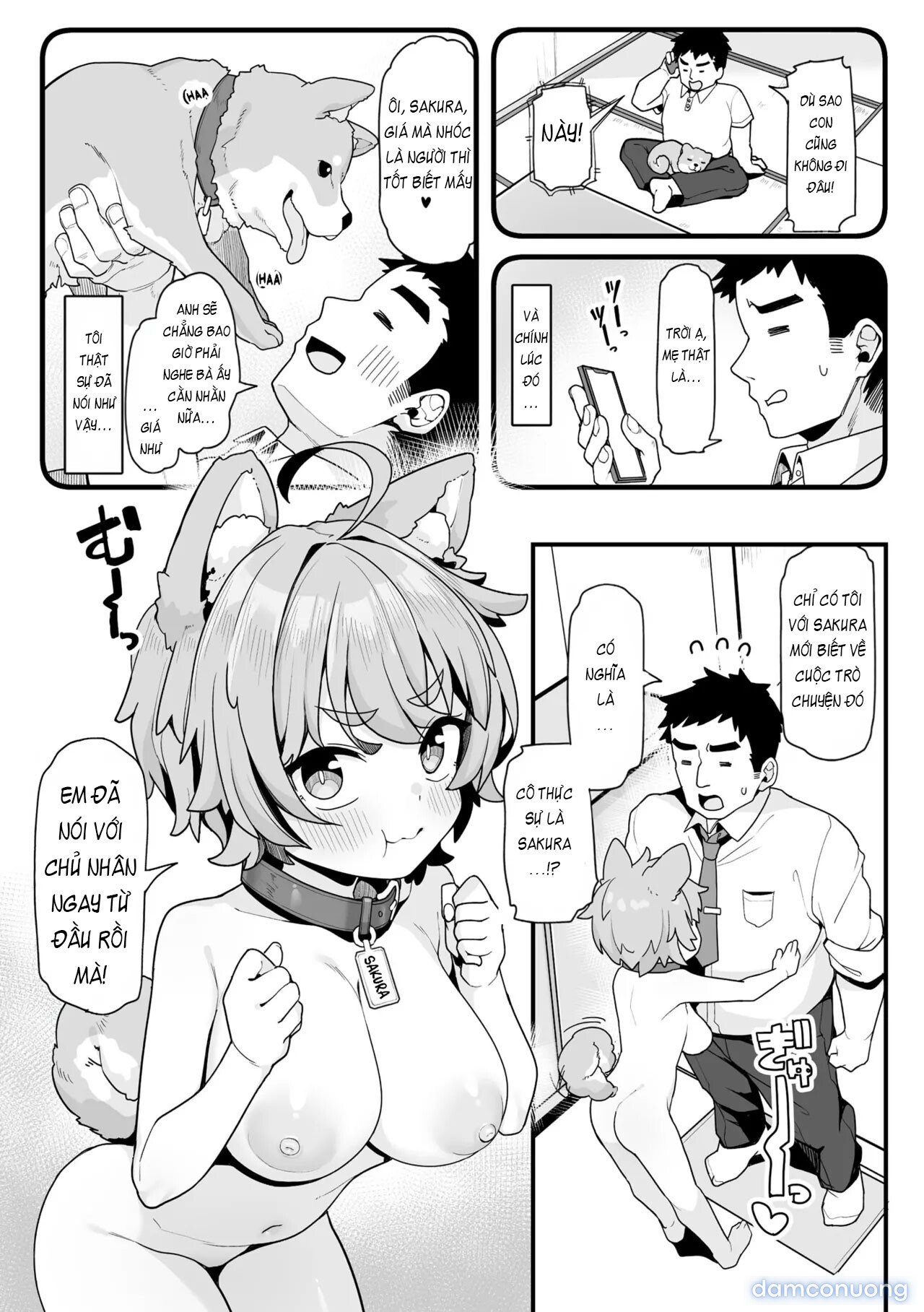 Chơi Cùng Sakura! 