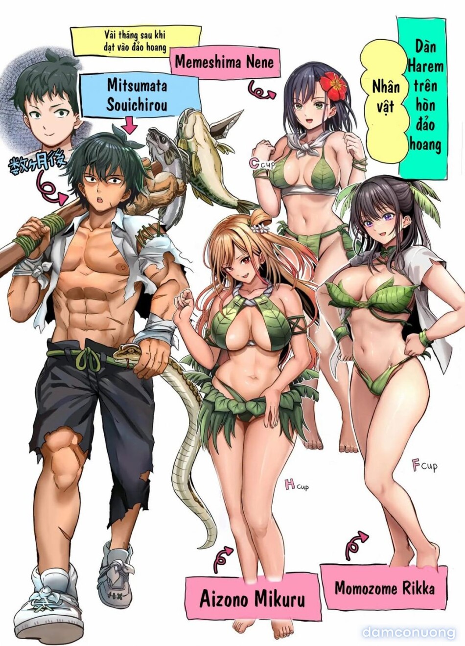Dàn harem nơi hoang đảo 