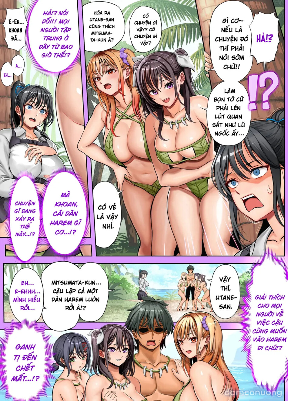 Dàn harem nơi hoang đảo 