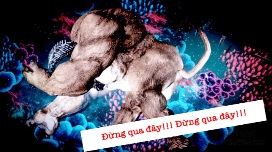 Tiểu Vũ NTR 