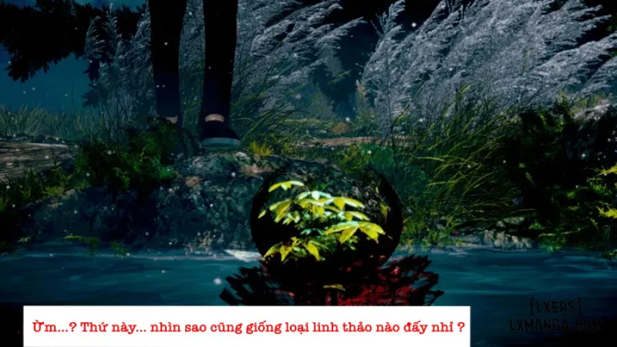 Tiểu Vũ NTR 