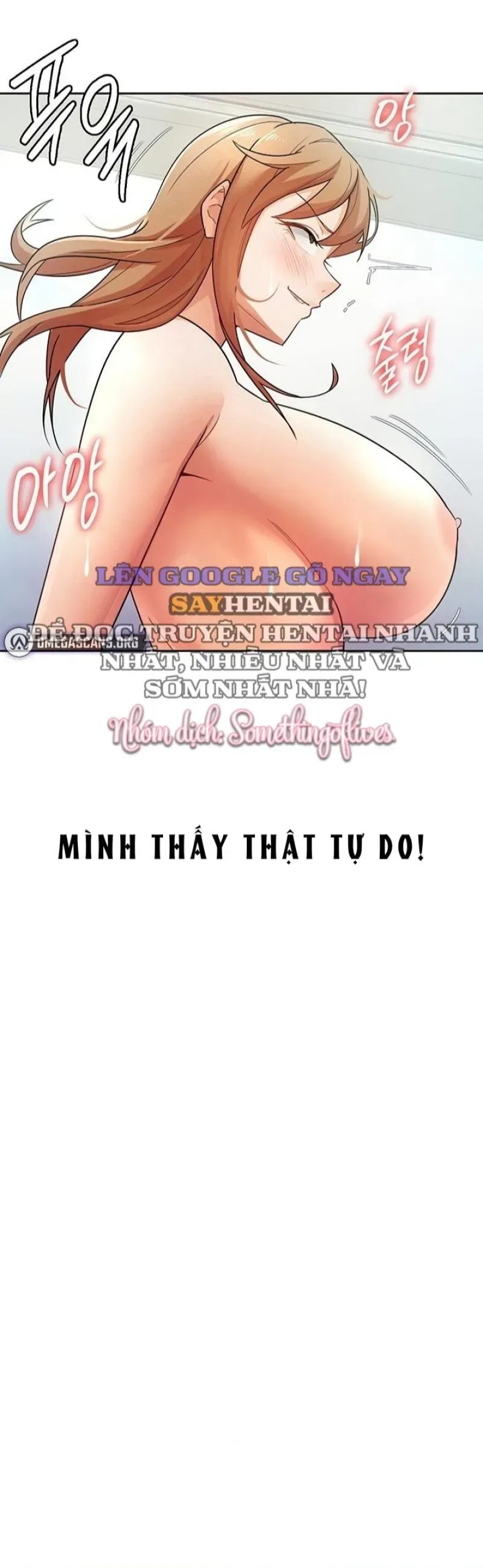 Bạn Gái Thuế 
