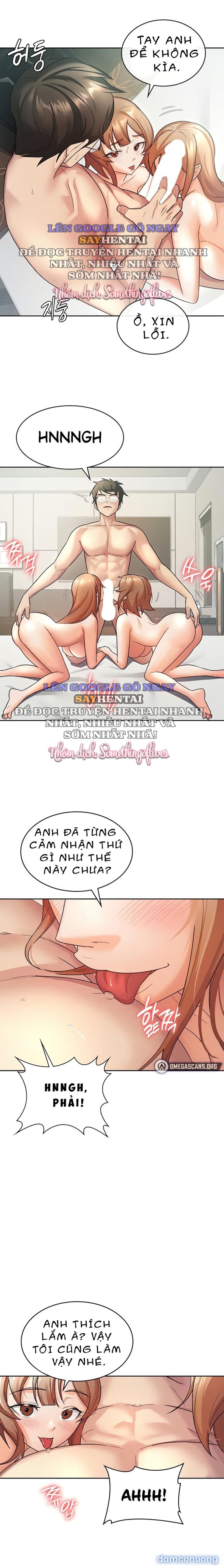 Bạn Gái Thuế 