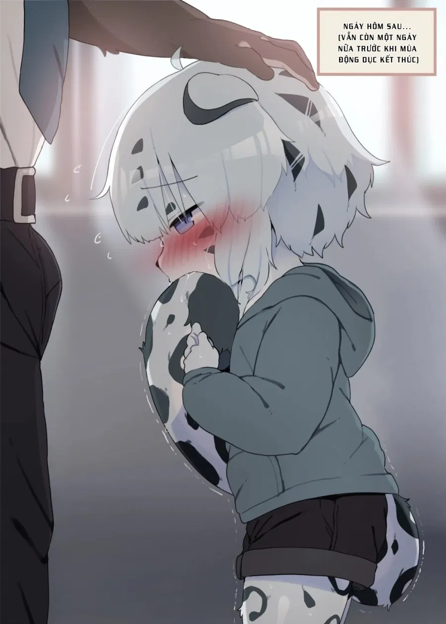Kì động dục của báo trắng(Yuki-chan) 