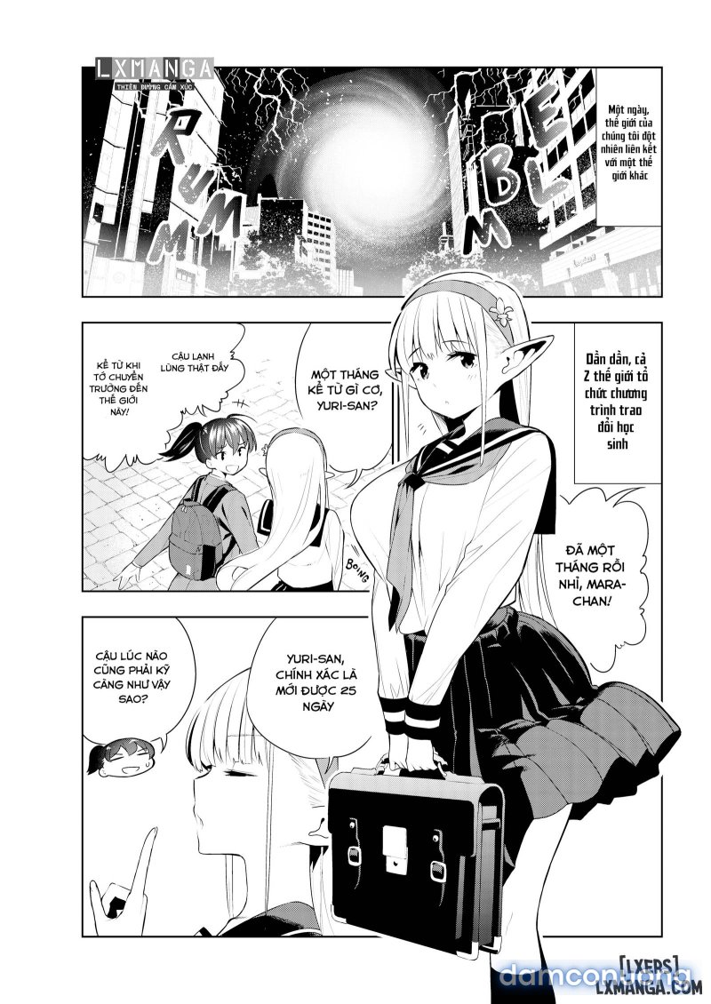 Futanari No Elf 
