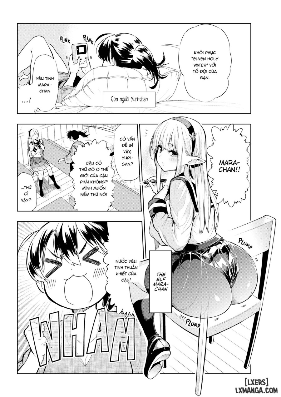 Futanari No Elf 