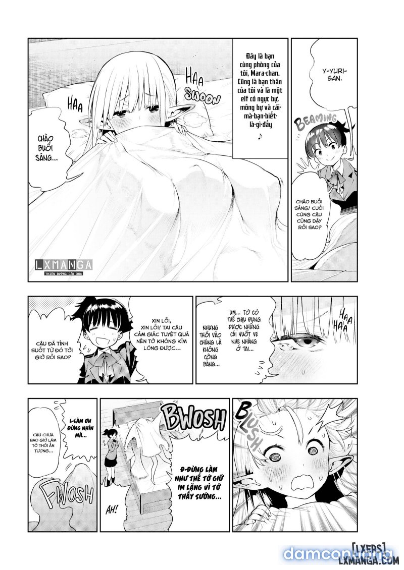 Futanari No Elf 