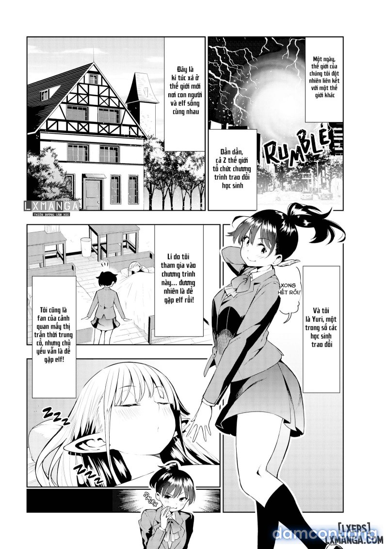 Futanari No Elf 