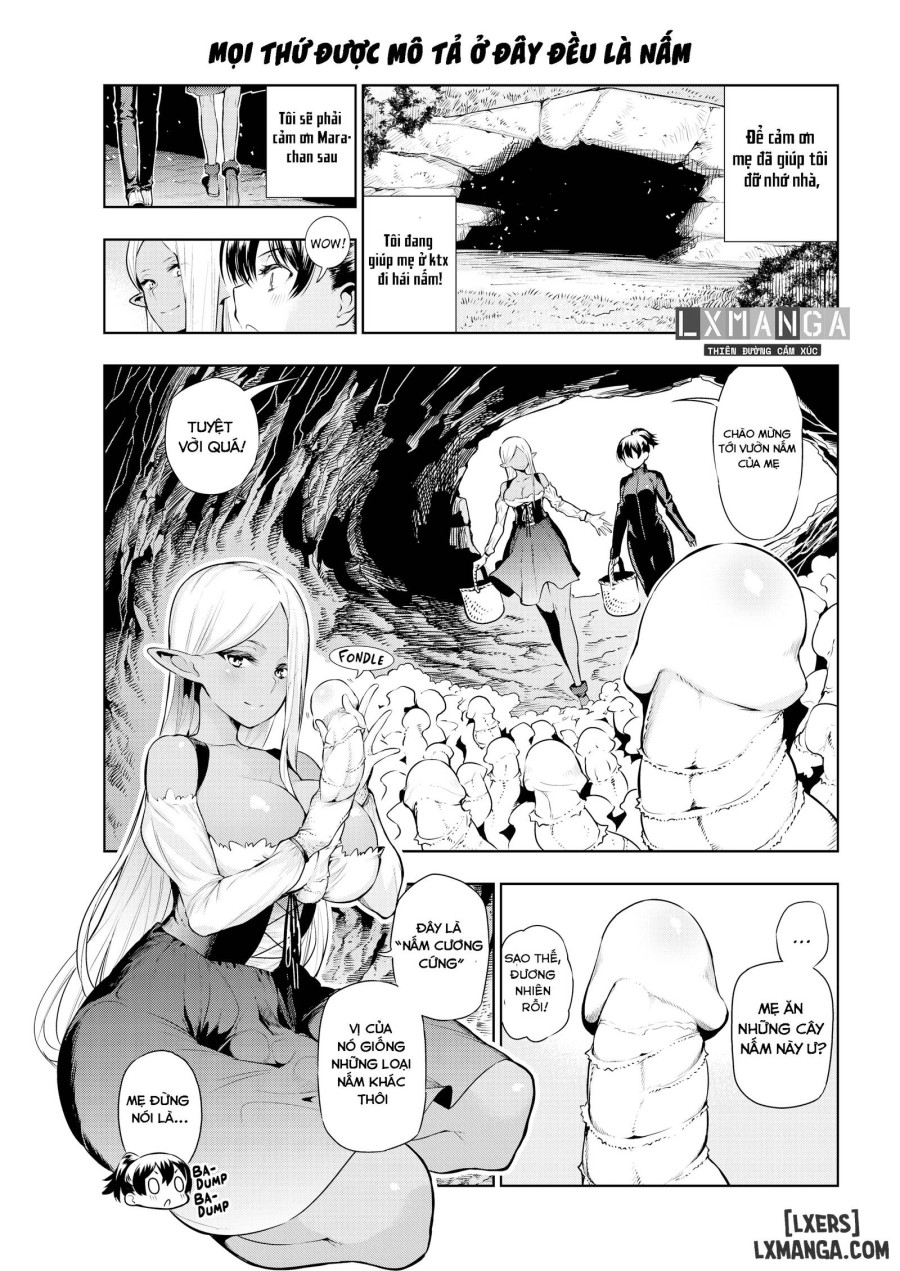 Futanari No Elf 