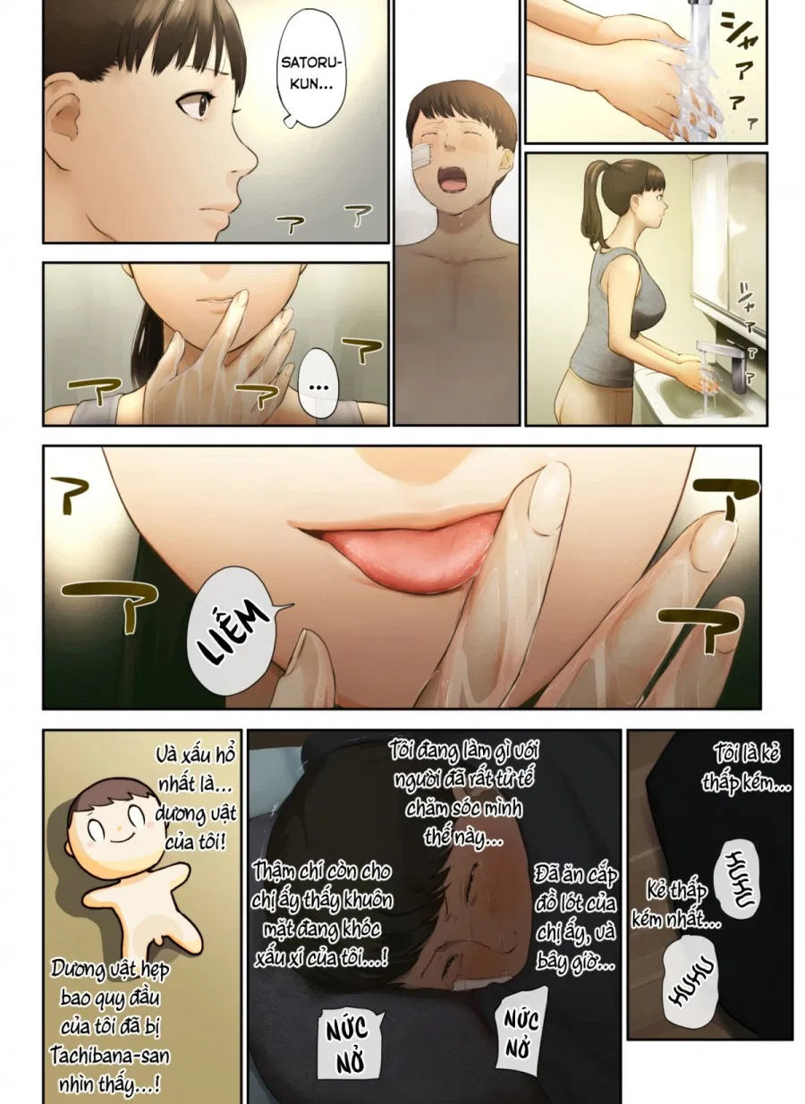 Ngước nhìn là ánh dương 