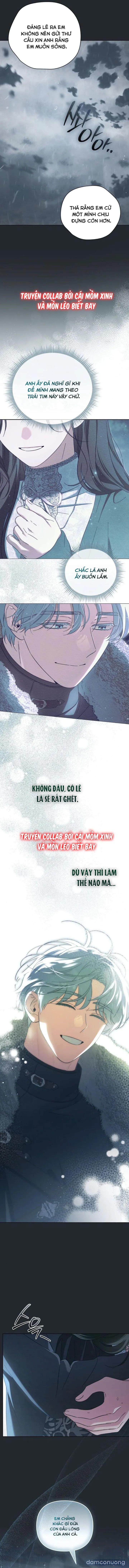 Dành Cho Nàng Juliet Xinh Đẹp 